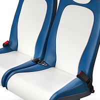 2 point safety belt