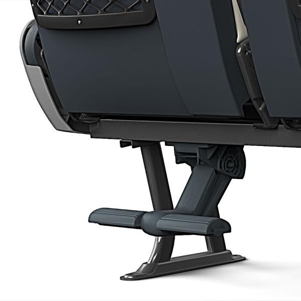 Multiposition footrest