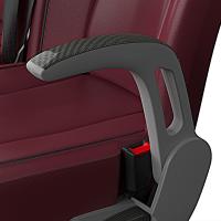 Carbon or briarwood insert